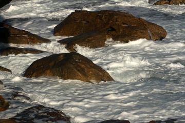 IMG_3821a.jpg